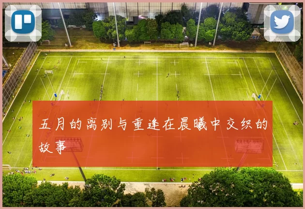 五月的离别与重逢在晨曦中交织的故事